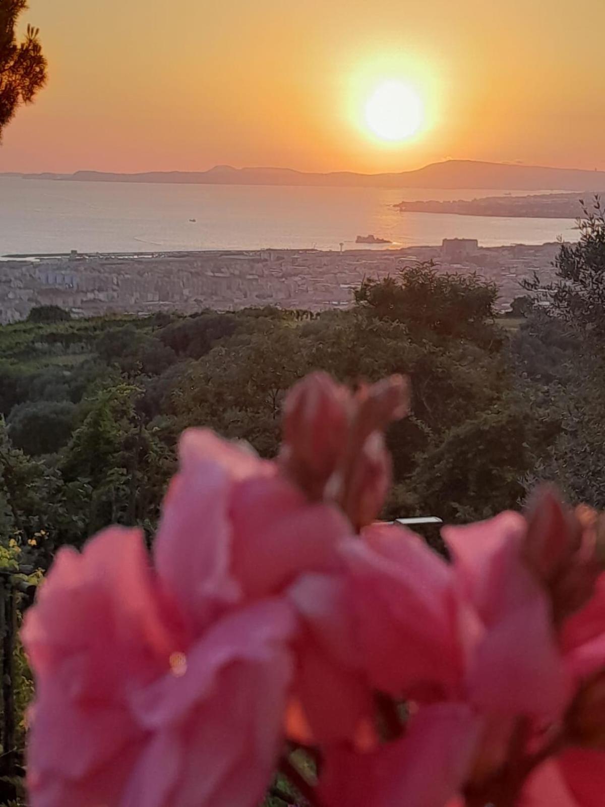 La Vigna Del Vento Panzió Casola di Napoli Kültér fotó