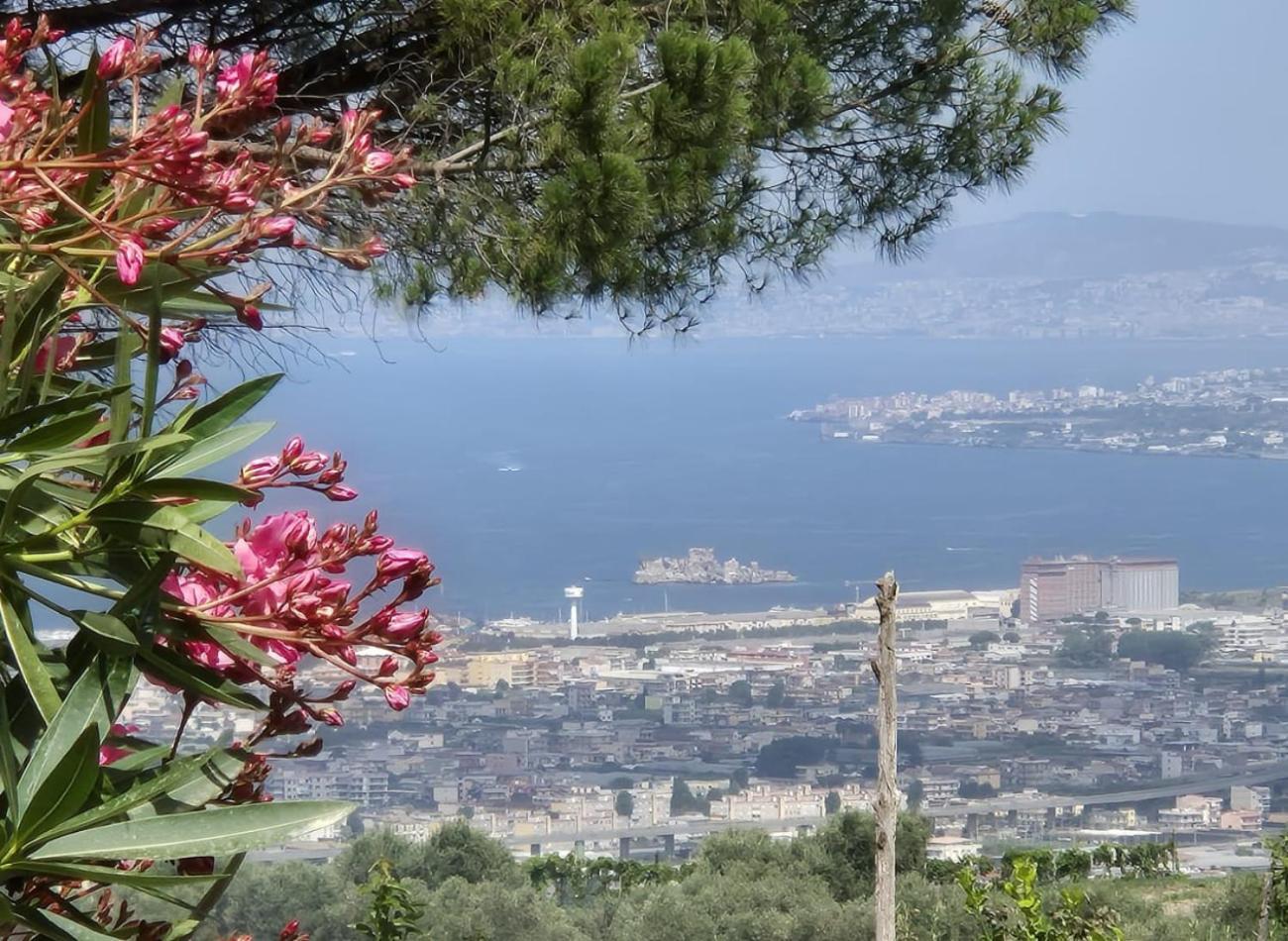 La Vigna Del Vento Panzió Casola di Napoli Kültér fotó